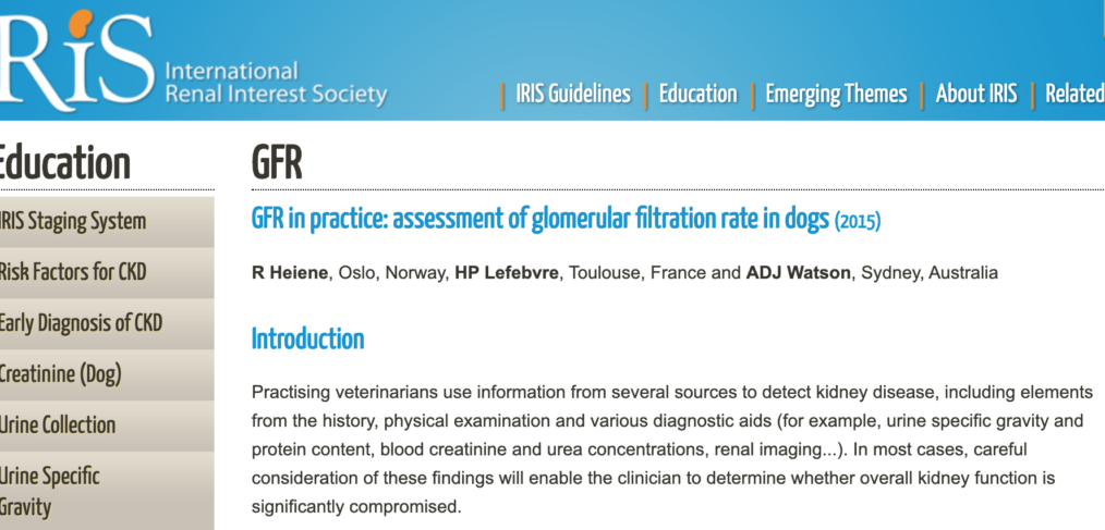 glomerular filtration rate (GFR)